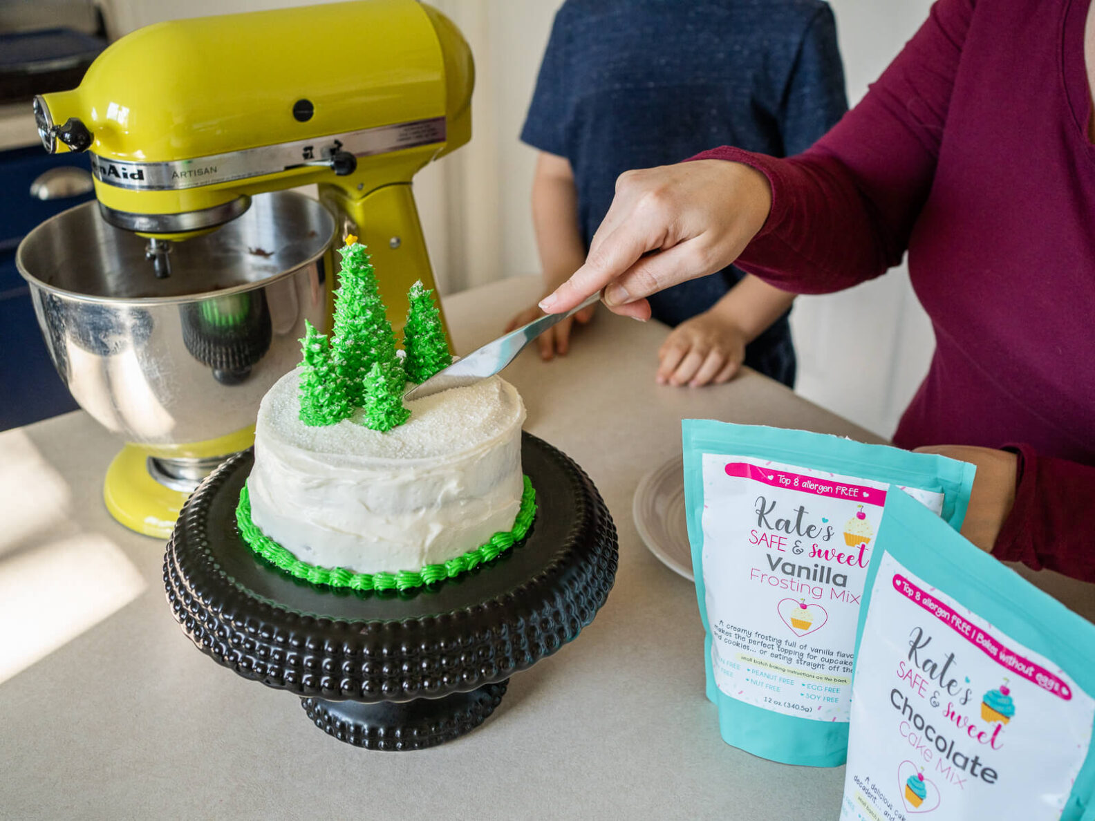 Kate's Safe and Sweet - Christmas Chocolate Cake Cutting Cake
