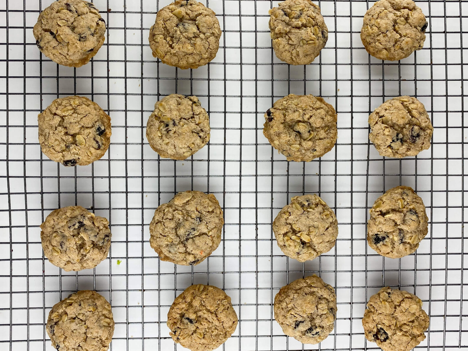 Kate's Safe and Sweet - Oatmeal Raisin Cookies on Tray
