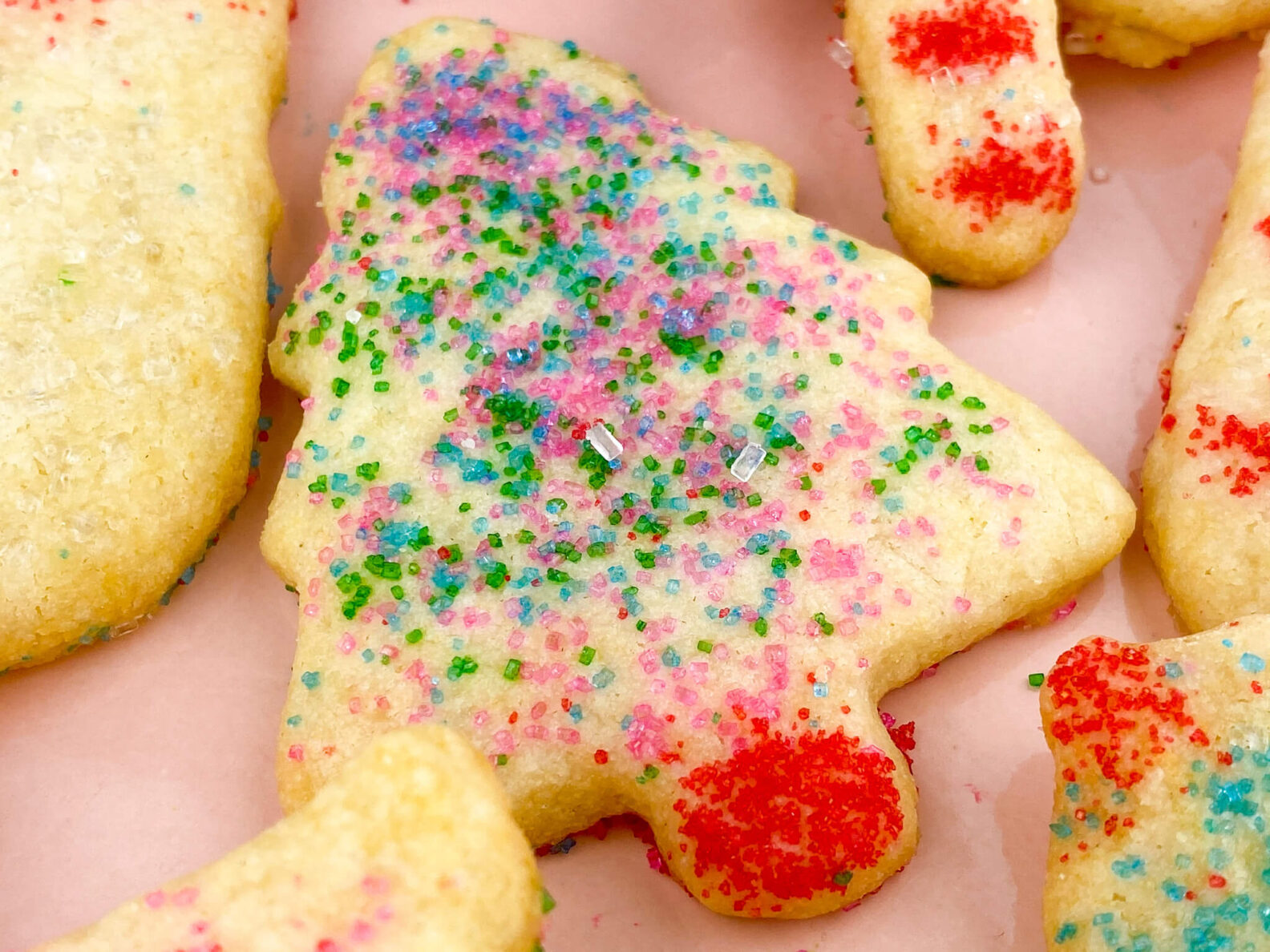 Kate's Safe and Sweet - Rolled Sugar Cookies Tree