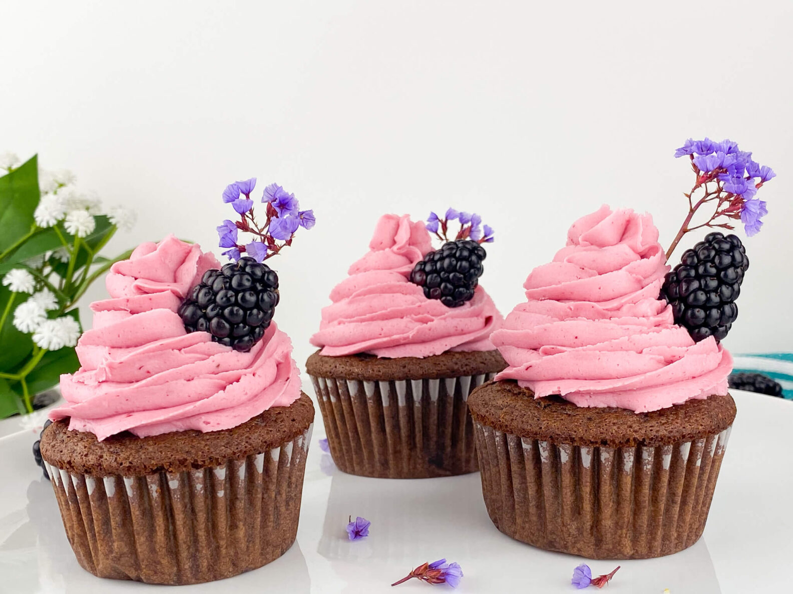 Kate's Safe and Sweet - Blackberry Frosted Chocolate Cupcakes Trio