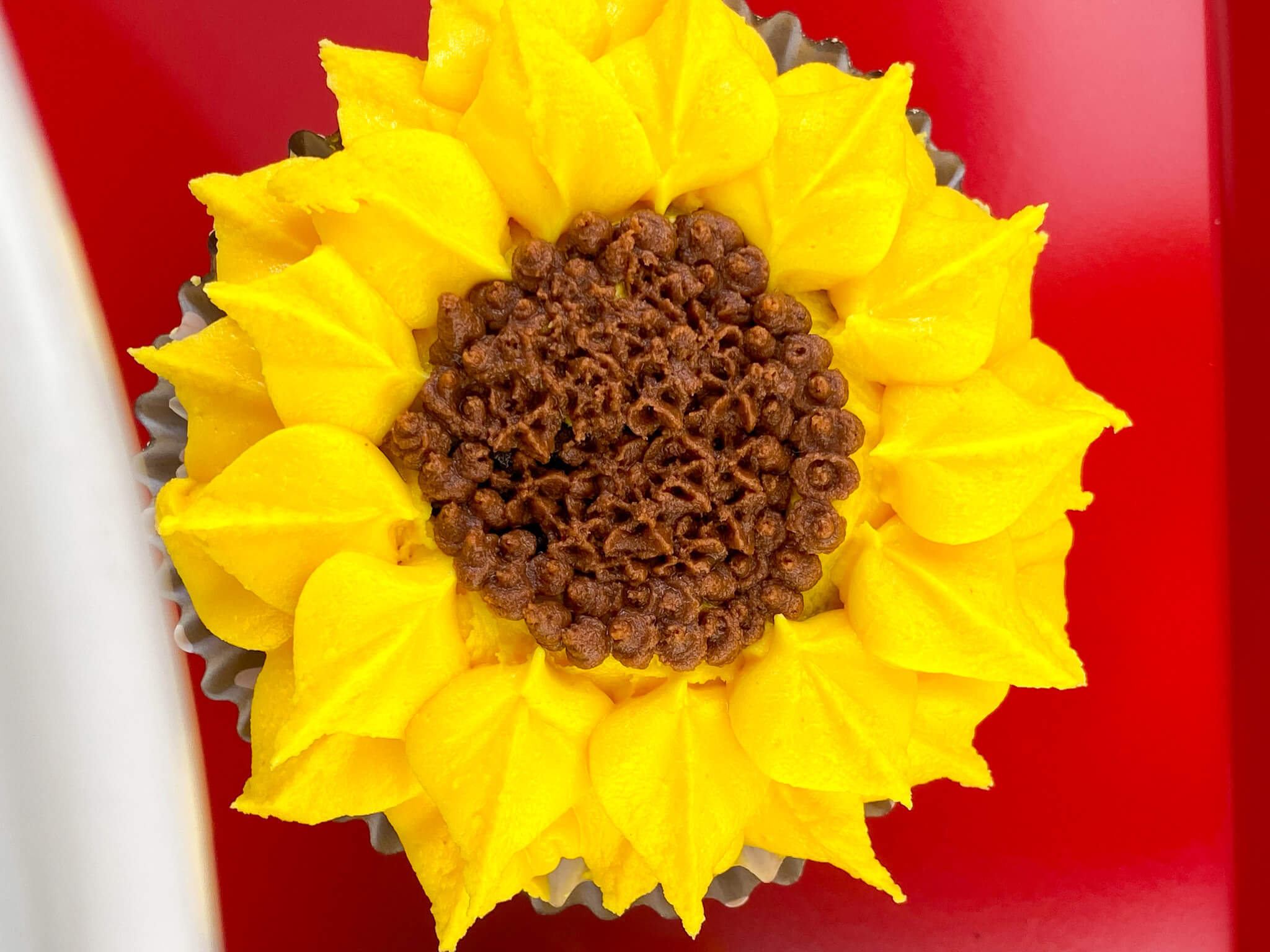 Kate's Safe & Sweet - Sunflower Cupcake Solo